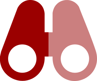 Vision Icon