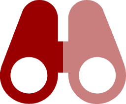 Vision Icon